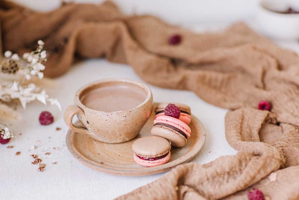 Macaron Chocolat/framboise Agrume et Chocolat